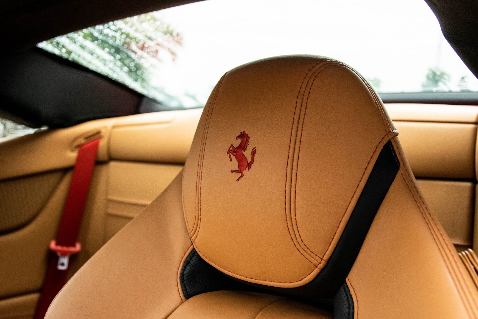 Ferrari California 3.9 T HELE Carbon/1ste eigenaar Foto 40