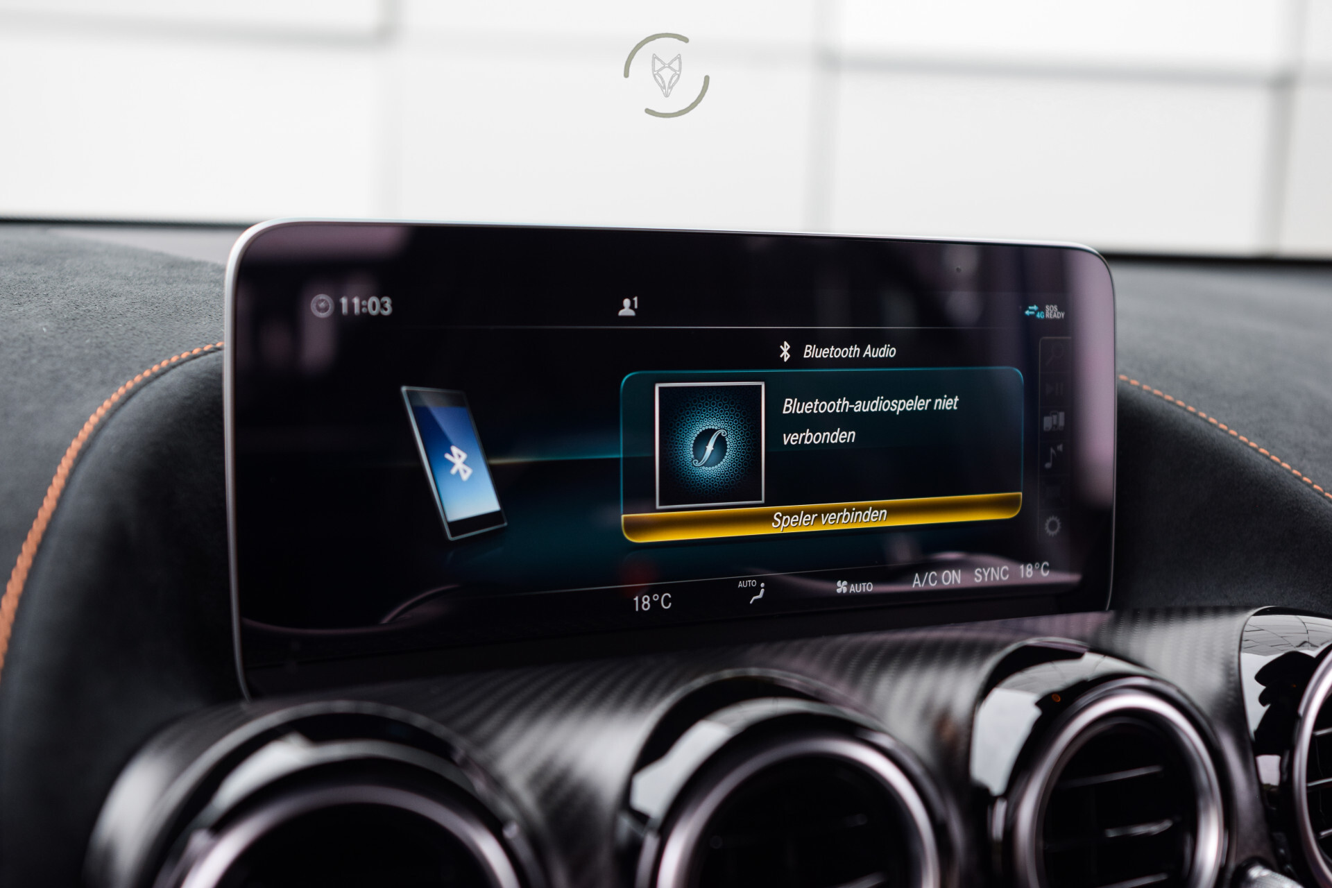 Mercedes-Benz AMG GT 4.0 Black Series Full Carbon | Burmester 3D | NL Auto Foto 14